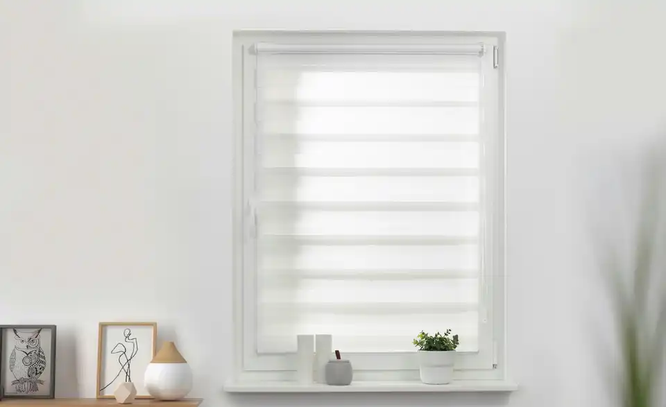 Lichtblick Duo-Rollo Klemmfix, in Wohnsituation