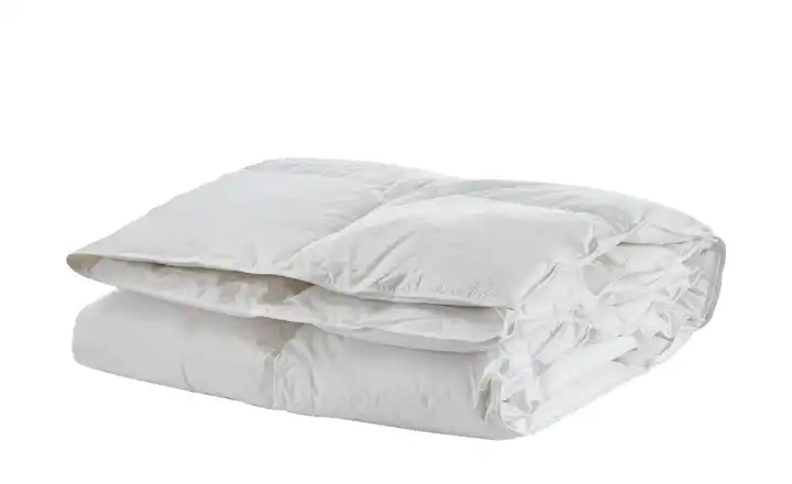  Kassettendecke medium  Arktis