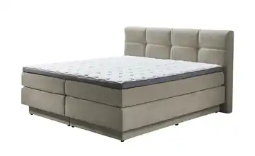 Boxspringbett Chicago Creme 160 cm H3 & H4