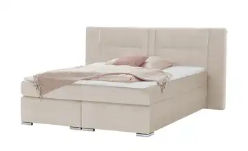 uno Boxspringbett Aston Creme 140 cm H3 Mikrofaser in Samt-Optik