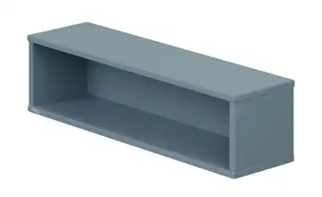 PAIDI Wandbox Olli