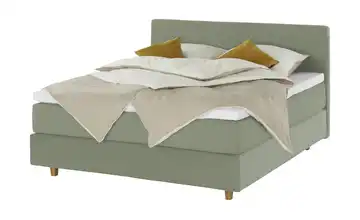 Jette Home Boxspringbett Jette Flex Grün 160 cm H2 Kaltschaumkern 63,5 cm