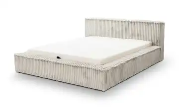 Polsterbett mit Stauraum Langport Grau 120 cm