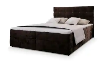 MASSENO Boxbett mit Bettkasten Glos 180x200 cm Dunkelbraun Teddy