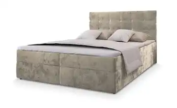 MASSENO Boxbett mit Bettkasten Glos 160x200 cm Dunkelbeige Teddy