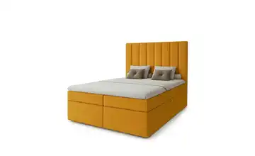  Boxbett  