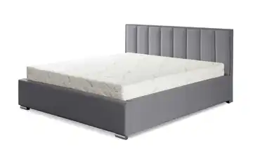 Polsterbett mit Bettkasten Hugo Grau 160x200 cm