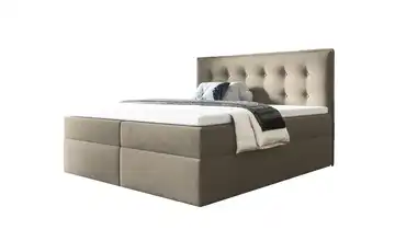 Boxbett mit Bettkasten Focus 140x200 cm Dunkelbeige