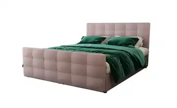  Boxbett  Kleo