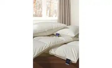 Kassettendecke IV  Belja Billerbeck
